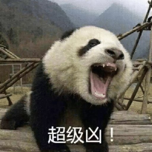 逐海的螃蟹