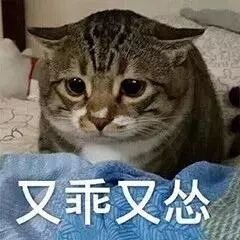 酸菜魚吶