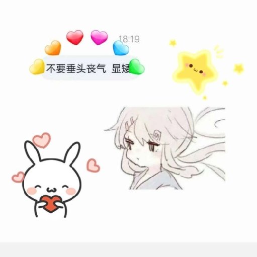 陌瑾葉
