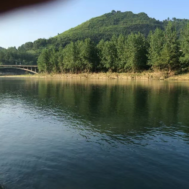 三檔燈