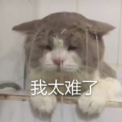 觸手醬