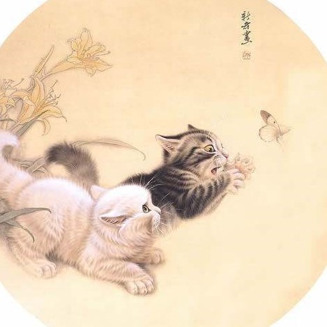 帥帥的老豬