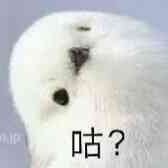 武裝科研船