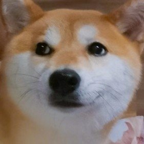 高溫烤玉米