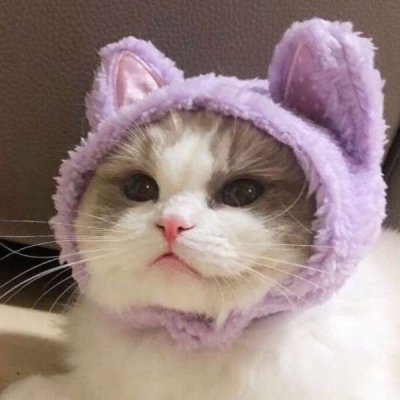 笑中含著淚