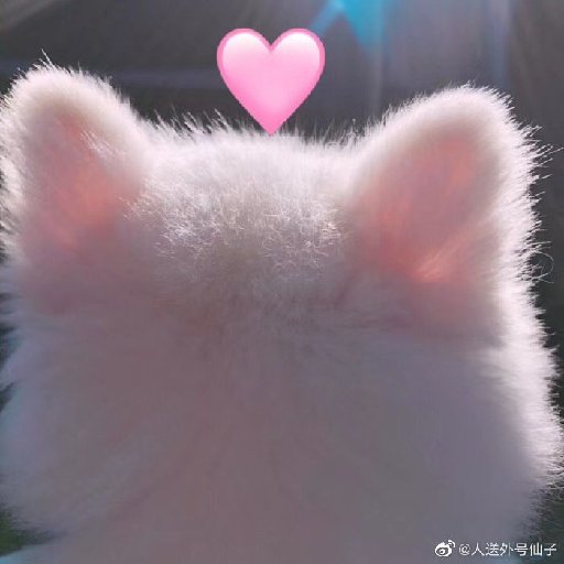 板栗雞湯