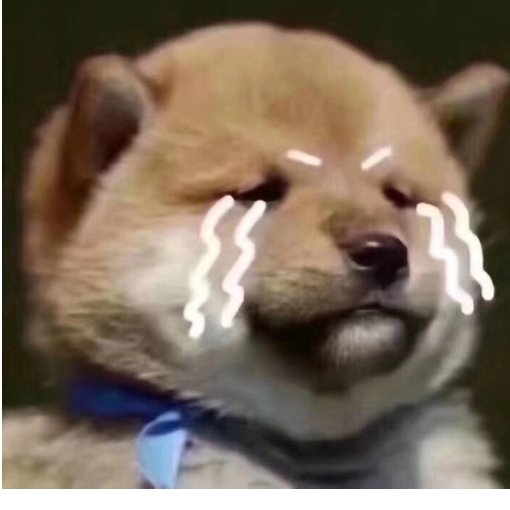 布谷聊