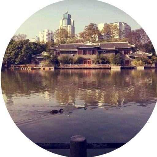 七哥道長