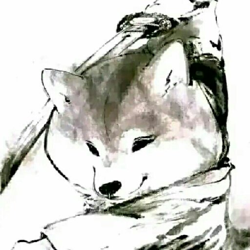 浮華遮妄眼
