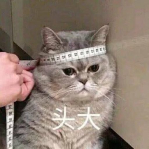 貓貓蔥