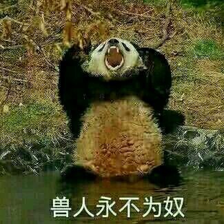爆更小熊貓