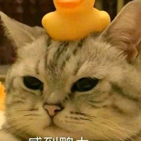 沈默生