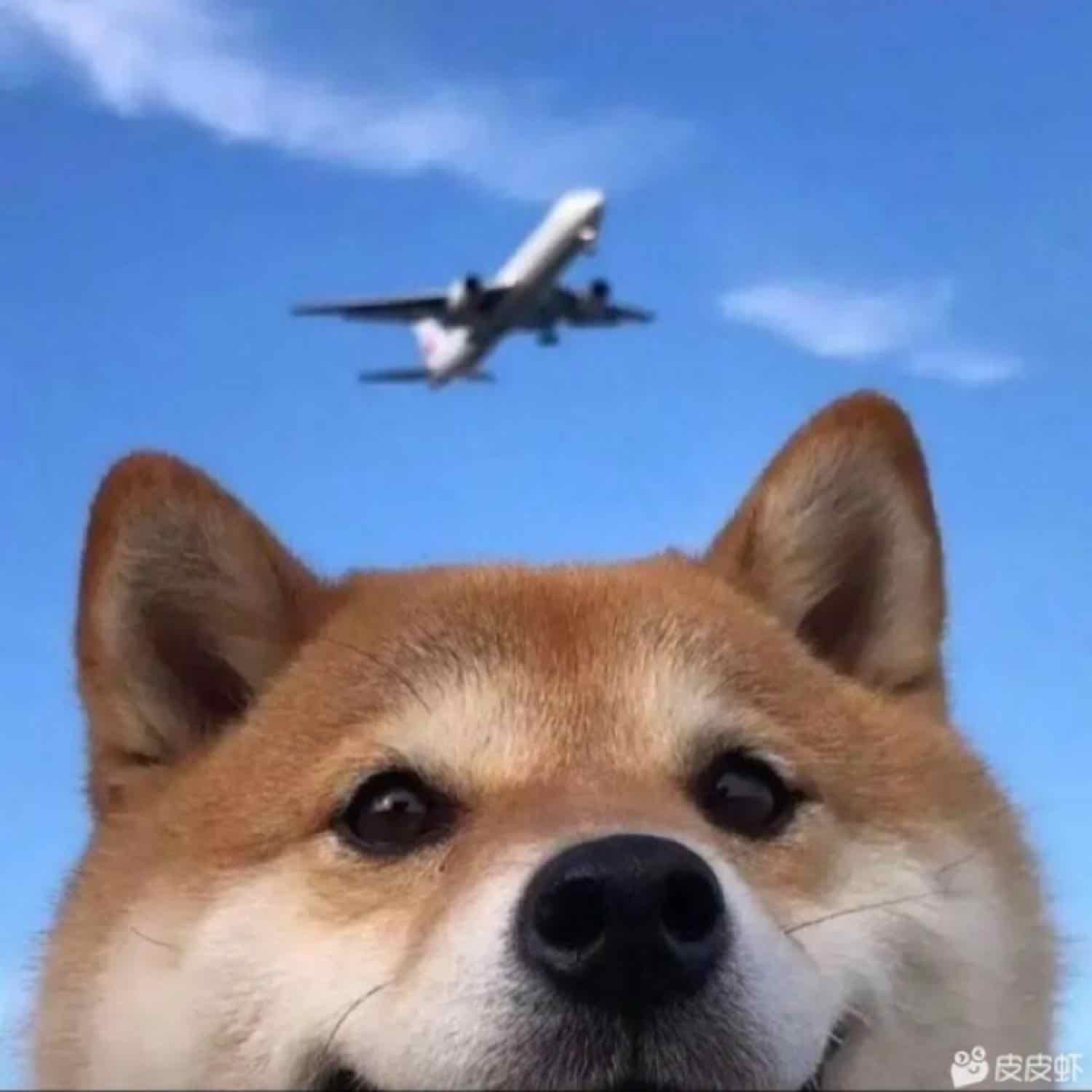 凌厲三尺