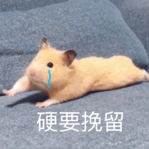 海中漂泊