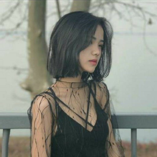 拾玖小姐