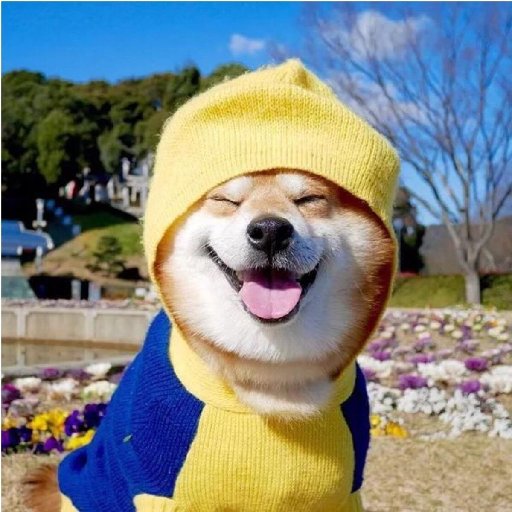 村邊老狗