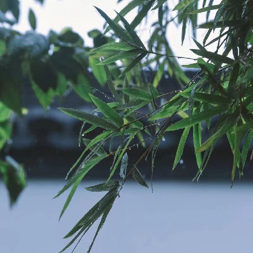 清雨纏輕煙