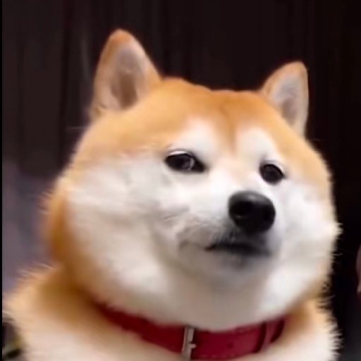度靈劫