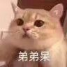 盛行于世