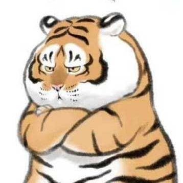 無雙胖虎是也