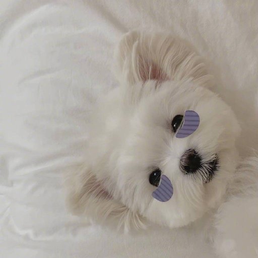 板栗蛋撻