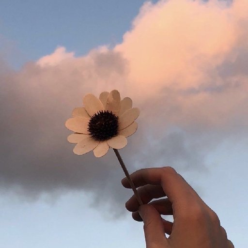 懷抱少年的貓
