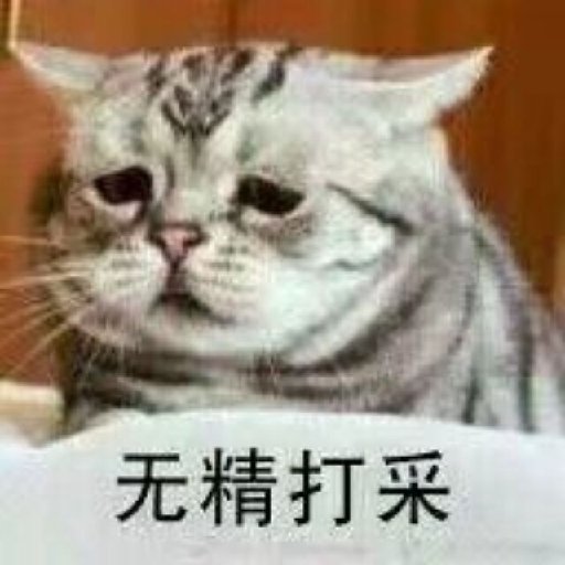 一日夢醒