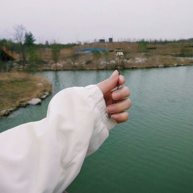 來我墳前上香