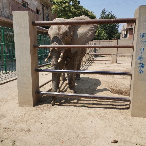 龍澤小拉