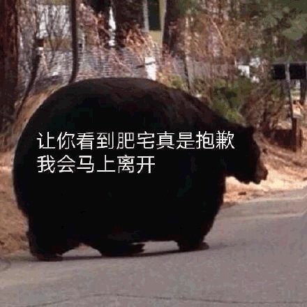 咸魚真是魚