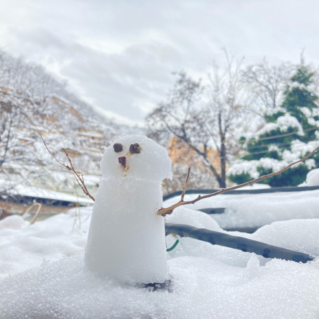 蛇虻
