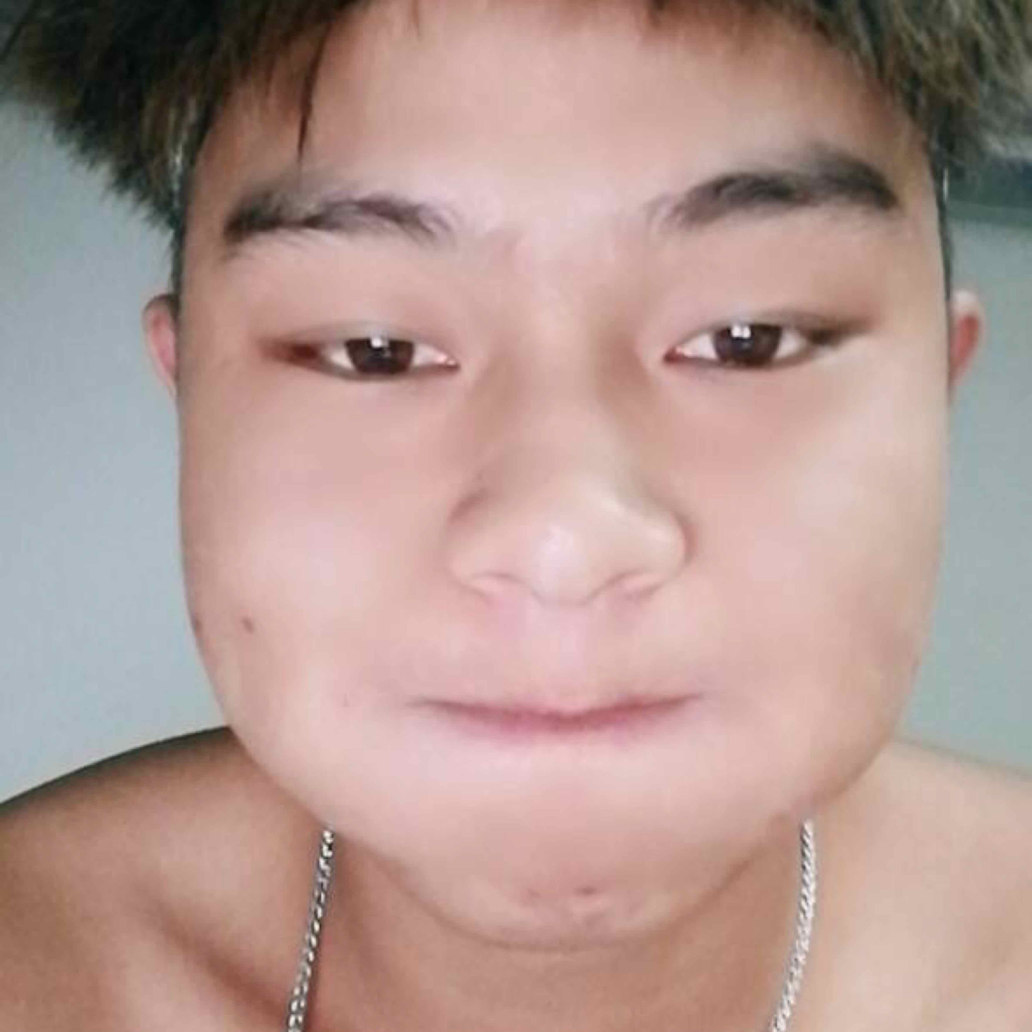 提筆照山河