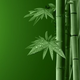鏡湖竹筏