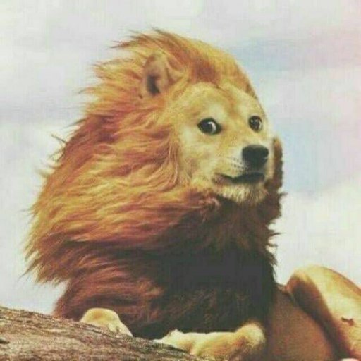 南方的小鎮