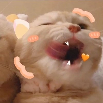 小羊很懶