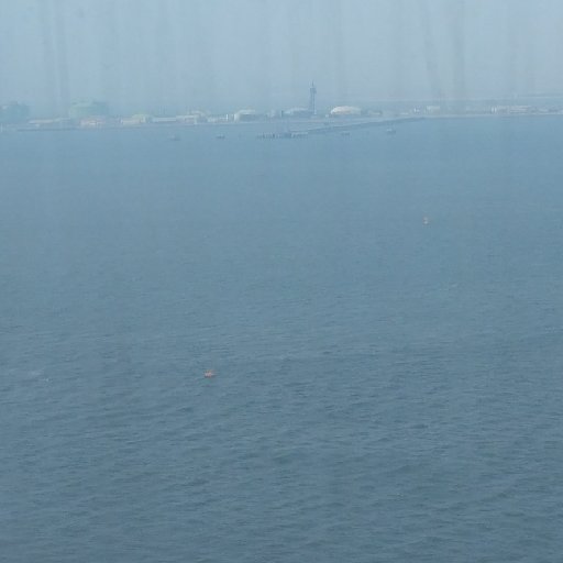一本初