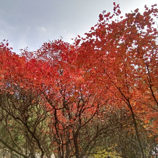 南坽望月