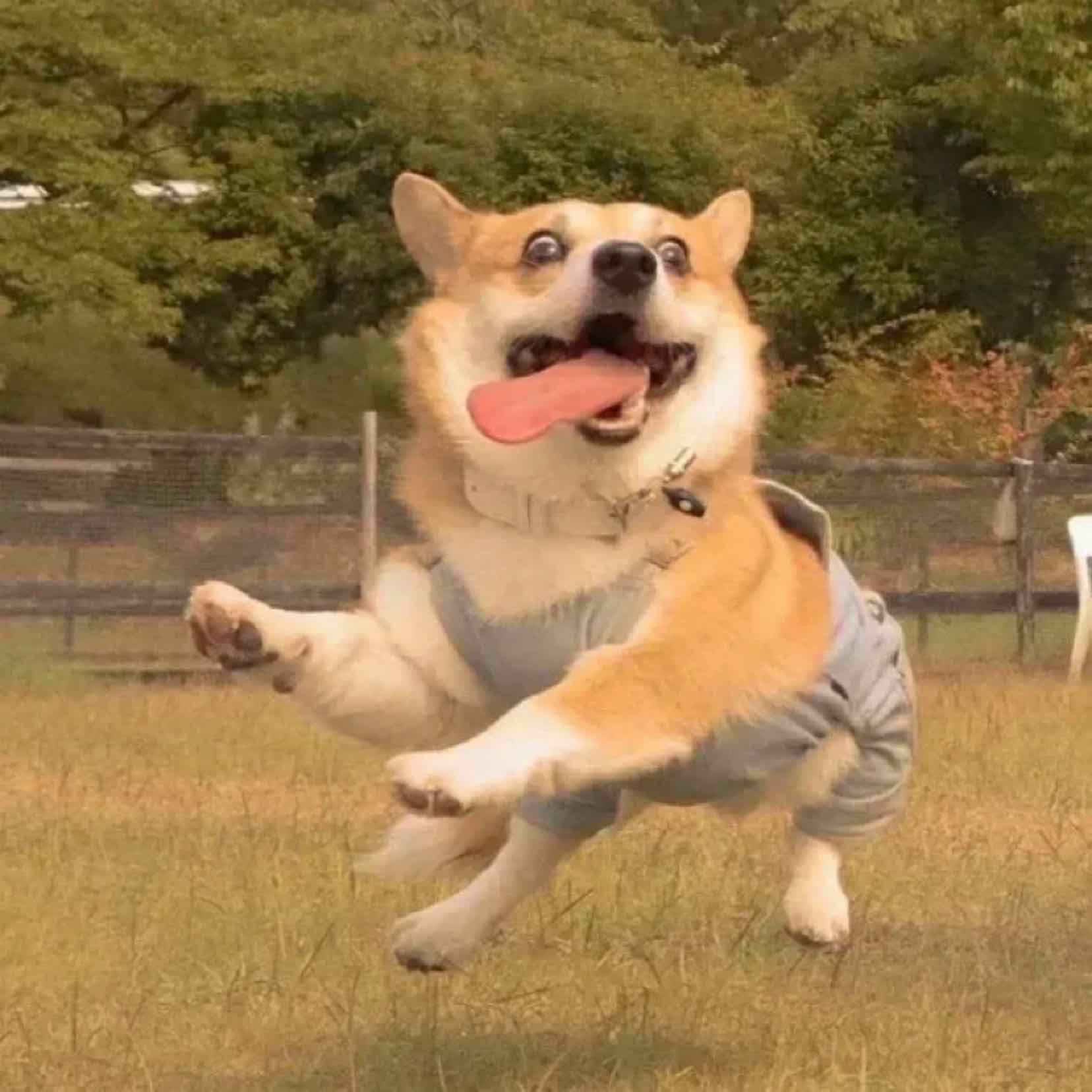 氿巫