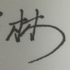 林岸天