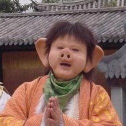 豬十一戒