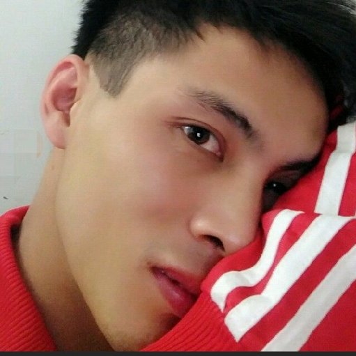 明月如君