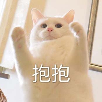 棒棒小可愛