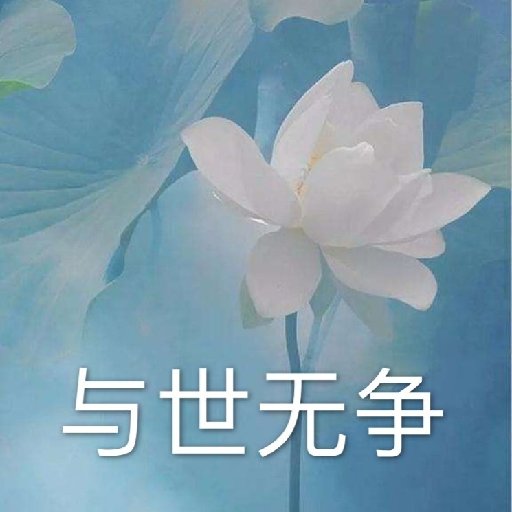 半泛