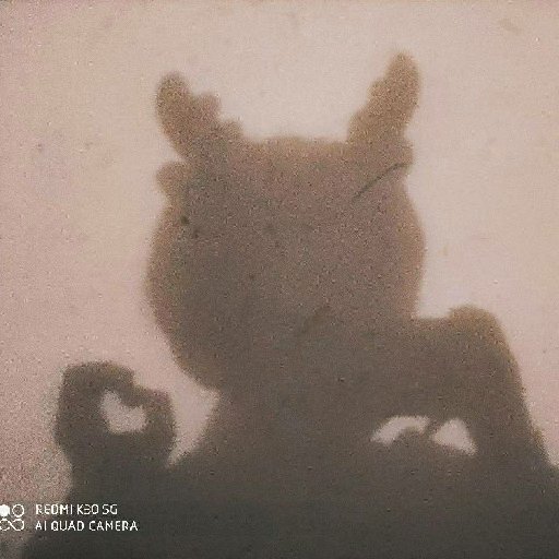 路評聲