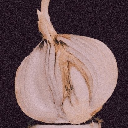 一棵洋蔥頭