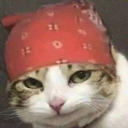 青瞳賣鷹