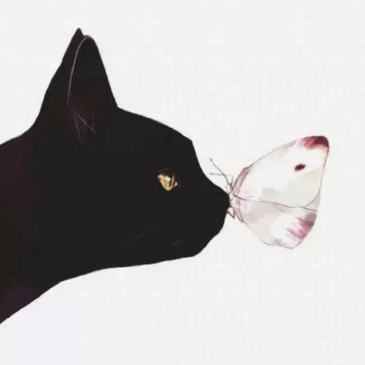 一夜風來花開