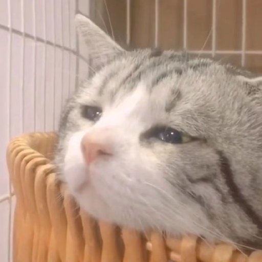 清濁不合流