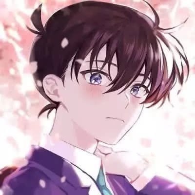 蝴蝶白馬