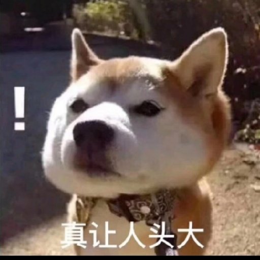 淇水有龍